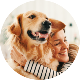 Pet-Care-05@2x Image of dog and owner